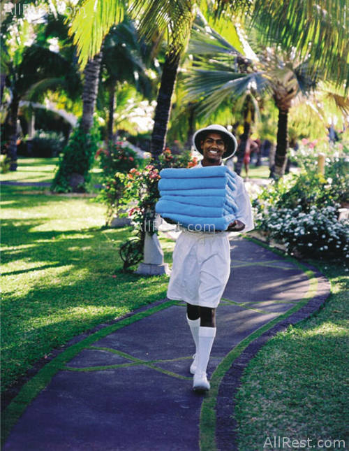 Royal Palm 15